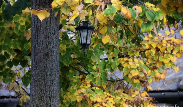 Vremenska prognoza za Mostar i Hercegovinu – 18.12.2025