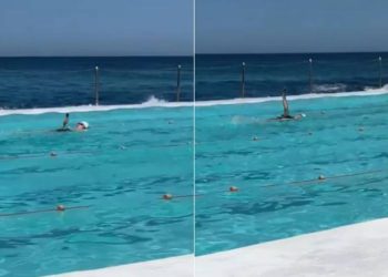 ZBOGOM PAMETI Leđni “online” stil zapalio društvene mreže