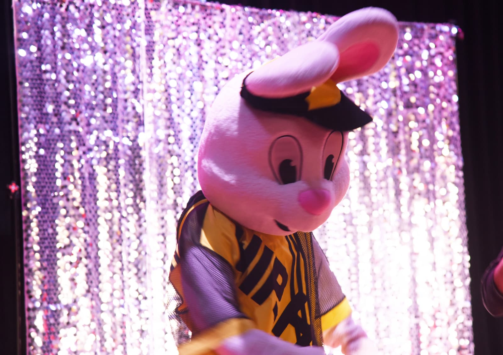 carobni animatori kastela  1