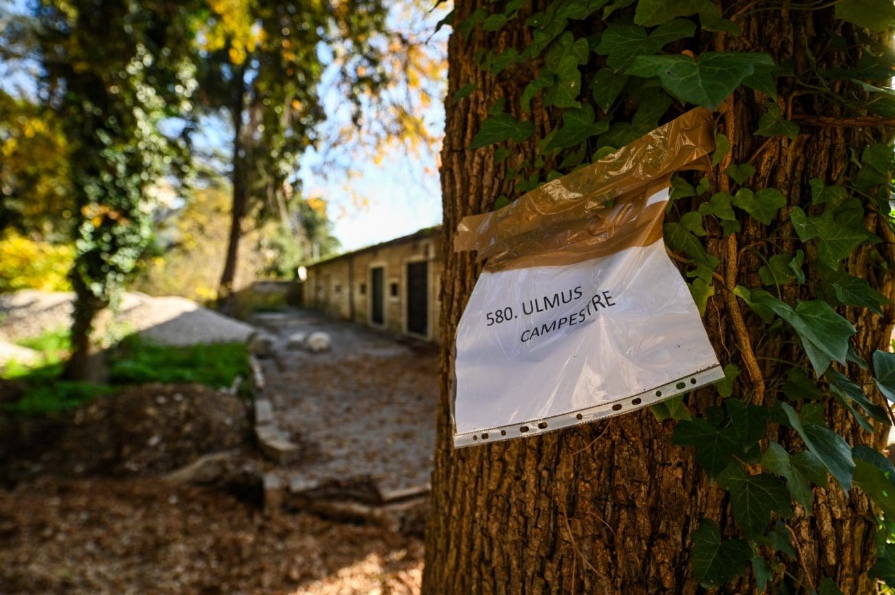 grobnica park trogir nn  1