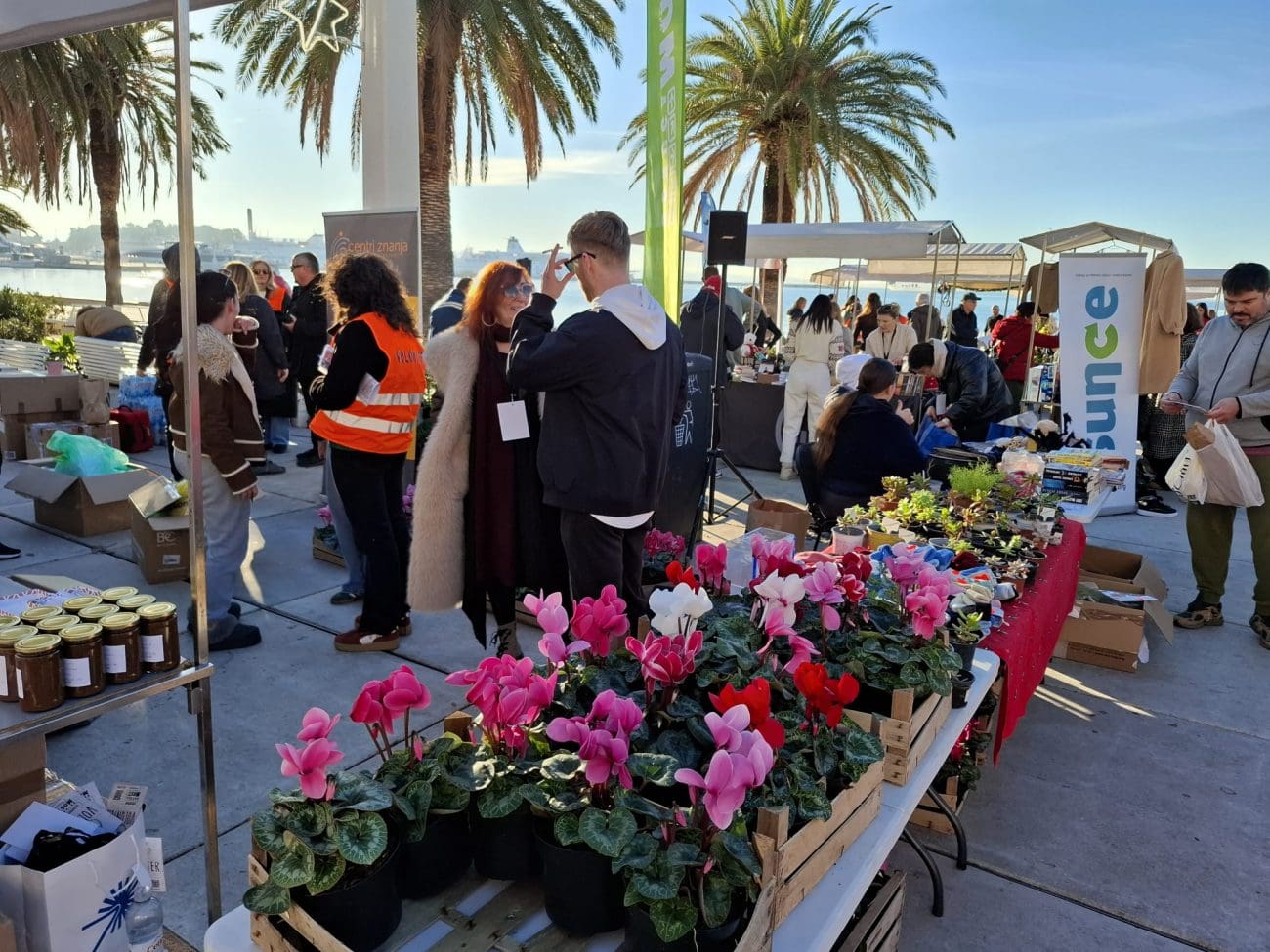 sina vickov a di si ti akcija  1