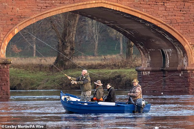 Škotski šef je u svom elementu dok spiralno prebacuje strunu sa štapa na vodu
