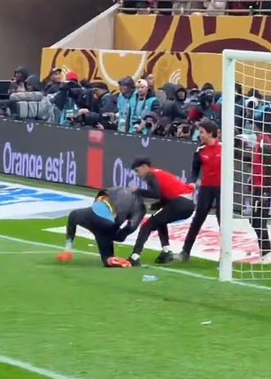 Snimka je pokazala kako se Diouf hrva na tlu dok je meč trajao