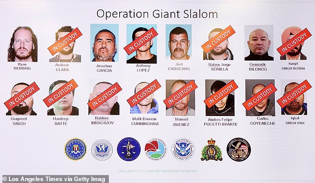 Operacija Veleslalom dodala je još jedno uhićenje ovaj tjedan u Ryan Weddingu (gore lijevo)