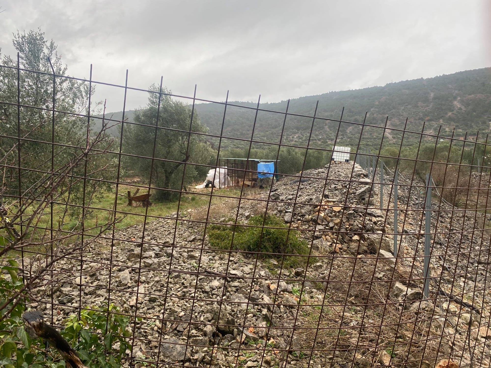 ZLOSTAVLJANJE ŽIVOTINJA ?! Otočanka: "U brdima iznad Cresa, izolirani u kavezima ovi psi čekaju buru i minuse!"