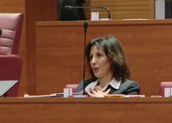 Dalija najednom vrisnula u Saboru, Jurčević pritekao u pomoć: ‘Jeste u redu, treba pomoć?’