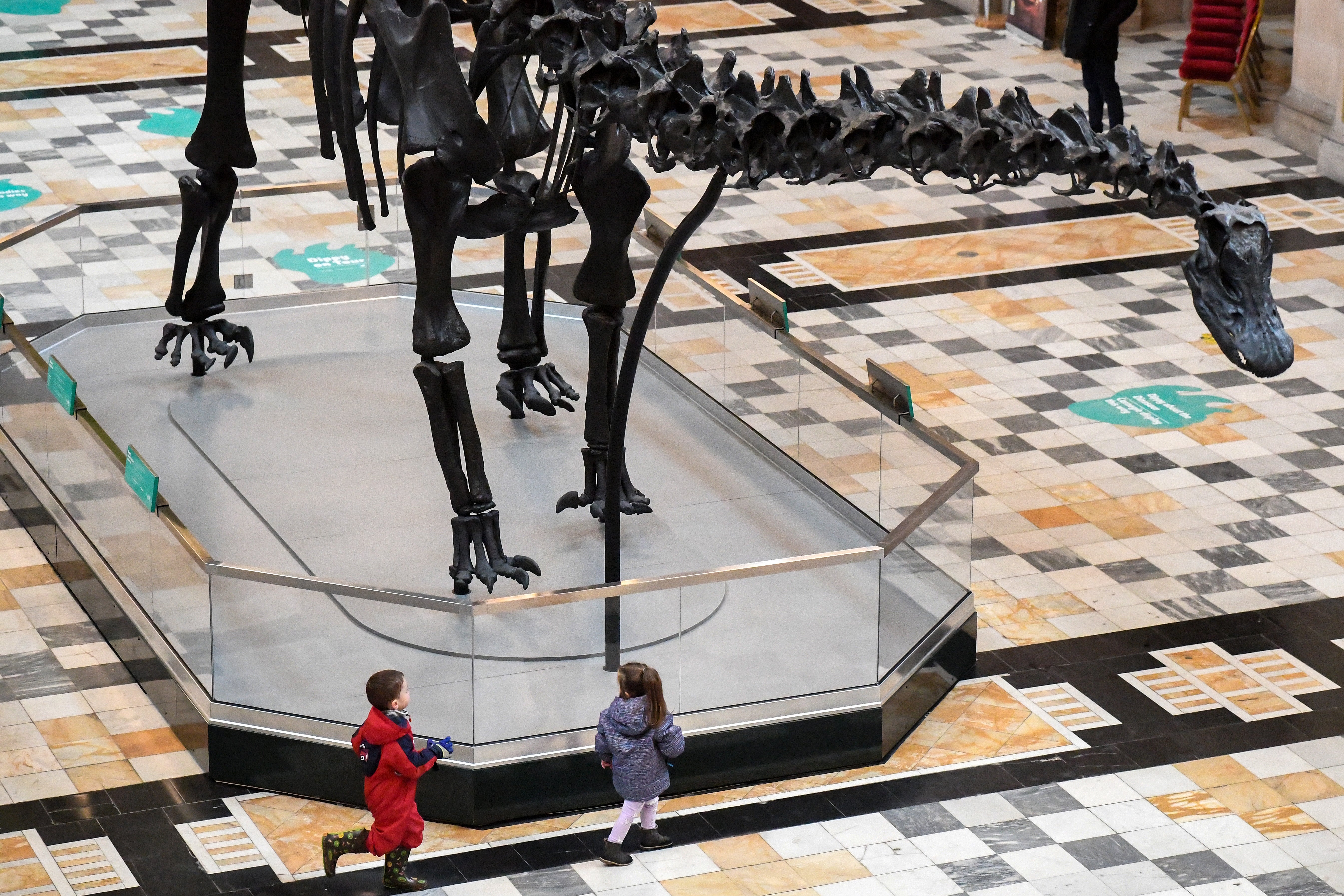 Članovi javnog gledanja dinosaura 'Dippyja', diplodokusa, u umjetničkoj galeriji i muzeju Kelvingrove u Glasgowu, Škotska, u siječnju 2019.