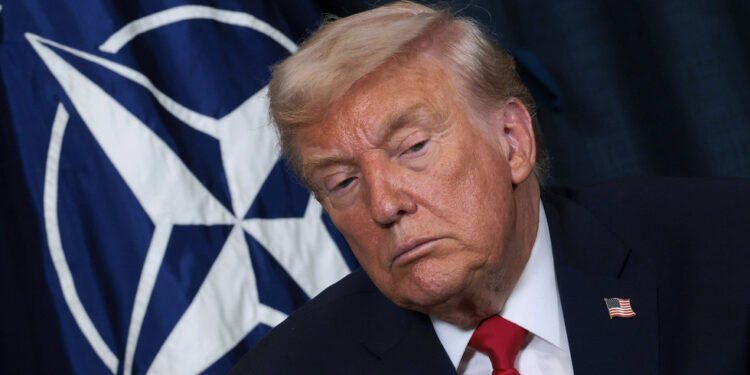 Grenland razotkriva istinu o NATO-u — RT World News