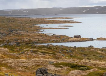 I Srbi polažu pravo na Svalbard? Evo o čemu se radi