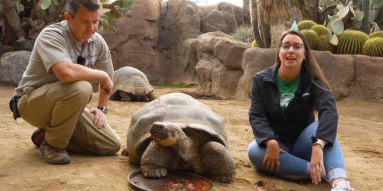 Iako je najstarija kornjača s Galapagosa umrla, u njezino ime spasimo ostale!