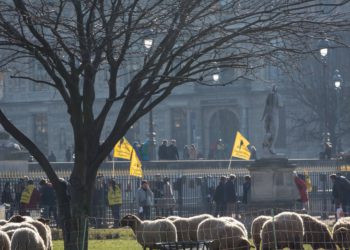 Macronov teški poraz u EU: Francuzi mu ovo neće oprostiti