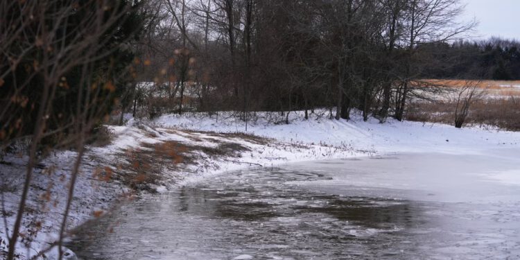 Mama opisuje srceparajući trenutak kada je pokušala spasiti svoja tri sina koji su umrli nakon pada u ledeno teksaško jezero: ‘Jednostavno ih nisam mogla spasiti’