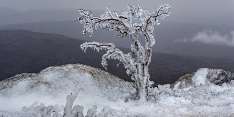 Mećava stiže u Dalmaciju, znamo kad i gdje! ‘Okovat će nas ‘crni led’, ne izlazite. A tek vikend…’