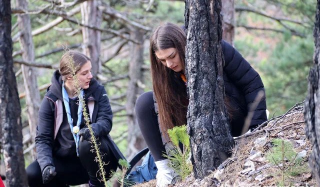 Mladi na požarištima zasadili 8.000 sadnica, najavljene nove akcije u Ljubuškom, na Blidinju i na Rujištu