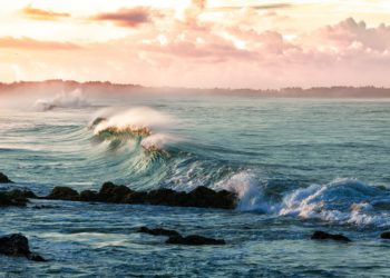 Mogli smo mu vidjeti zadnji obrok