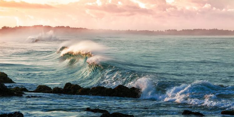 Mogli smo mu vidjeti zadnji obrok
