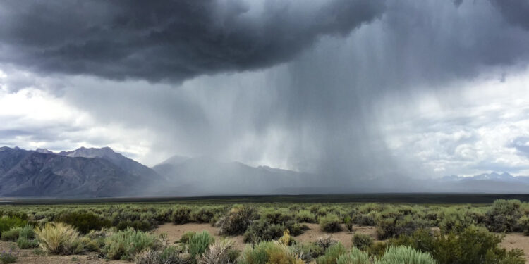 Najduža suša u desetljećima završava u Maroku — RT Afrika