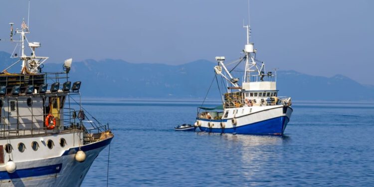 Nova pravila sljedivosti proizvoda ribarstva i akvakulture