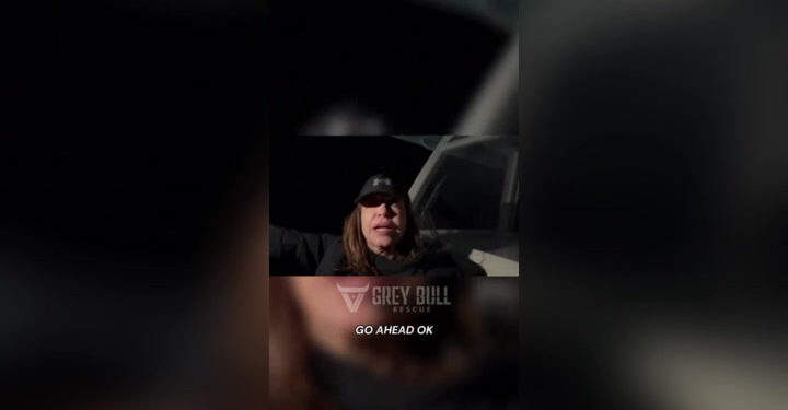 Pogledajte: Machadov bijeg iz Venezuele snimljen na videu | Vijesti