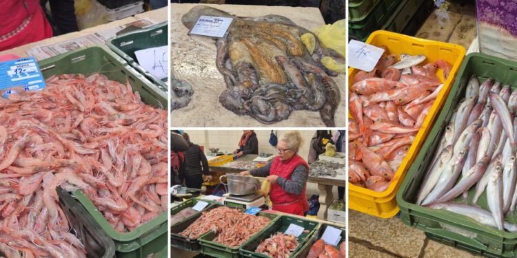 Pogledajte kakva je današnja ponuda na splitskoj Peškariji