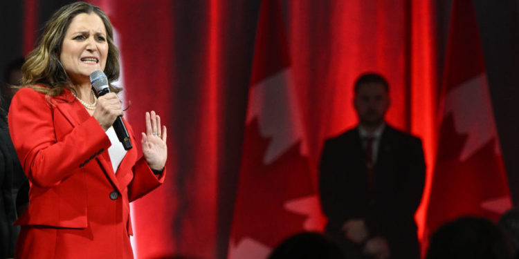 Potomak nacističkog suradnika rođen u Kanadi dao otkaz kako bi savjetovao Ukrajinu — RT World News