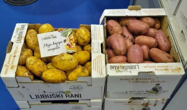 Sadnja ‘ljubuškog ranog’ krumpira pri samom kraju