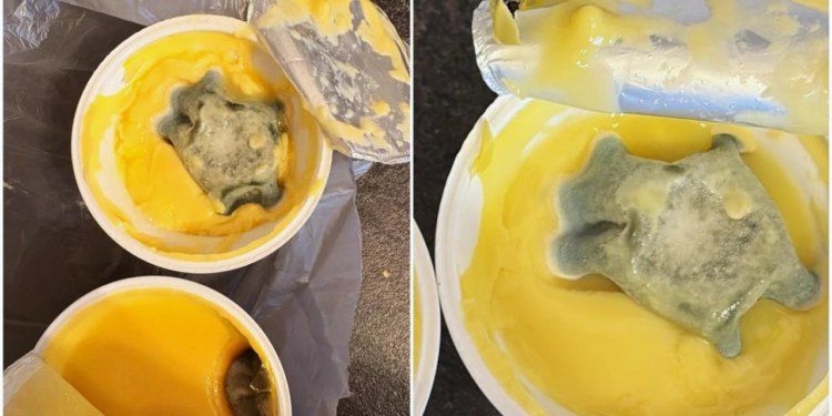 Slobodna Dalmacija – FOTO Nije za one slabijeg želuca! Splićanka htjela zdravo živjeti, a prodali joj gadariju: ‘Otrov, smrdi ko kuga!’