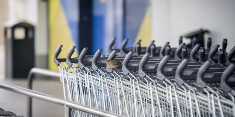 Slobodna Dalmacija – Gužve u splitskim trgovinama, spremaju li se Splićani na novi hladni val koji nam dolazi?