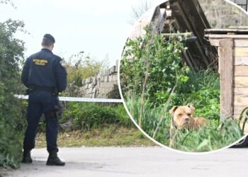 Slobodna Dalmacija – Hoće li psihijatar optužen za zlostavljanje pasa u zatvor? Ovako ga odvjetnik pokušava izvući, no postoje jezive snimke