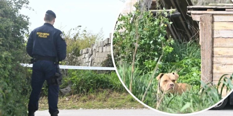 Slobodna Dalmacija – Hoće li psihijatar optužen za zlostavljanje pasa u zatvor? Ovako ga odvjetnik pokušava izvući, no postoje jezive snimke