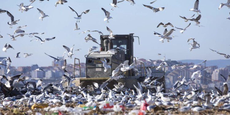 Slobodna Dalmacija – Iznervirala se do kraja! Splićani, uskoro ćemo svi plakat’, on umire…; Tomo, Blaženko, Marija, uvatite se ‘lopate’