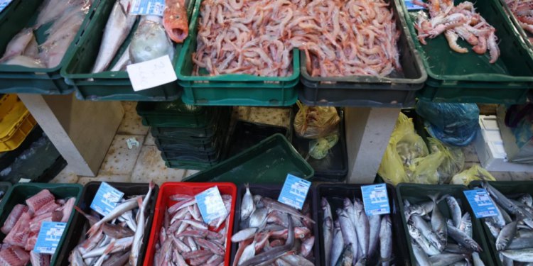 Slobodna Dalmacija – Obišli smo jutros splitsku Peškariju s 15 eura, evo što se sve da skombinirati za današnji ručak