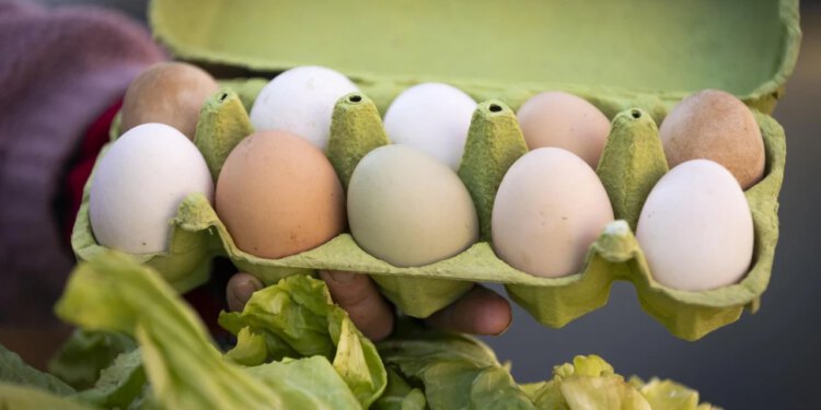 Slobodna Dalmacija – Šok u trgovini! Čitajte slova i pazite što stavljate u košaricu