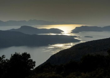 Slobodna Dalmacija – Tko je sljedeći? Preokret u slučaju milijunske prijevare s nasadima smokava: bračni par sve priznao