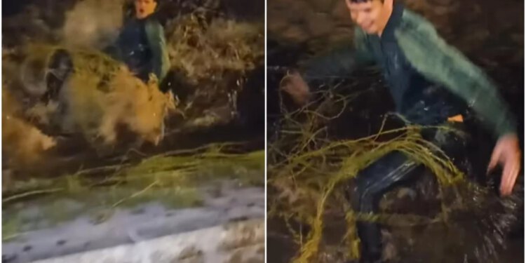 Slobodna Dalmacija – VIDEO Mogu i u džunglu! Balavurdija u Solinu kida grane, skaču u ledenu rijeku; jedan ga podjaruje: ‘Ajde, ajde…’