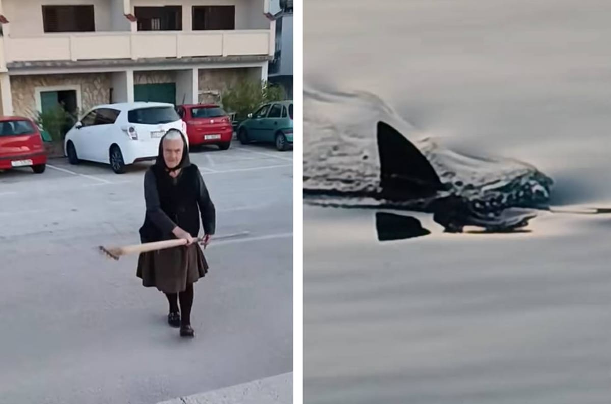 VIDEO Splićanin uhvatio krakena kod Hvara: "Borba je trajala 20 minuta, velika je gotovo kao i ja!"