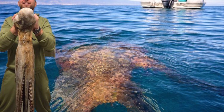 Splićanin se pohvalio ulovom “grdosije”: “Borba je trajala 20 minuta, velika je gotovo kao i ja!”