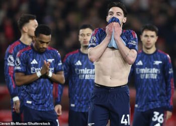 Što su mi bivši igrači Man Uniteda rekli o zvijezdama koje su se ‘pokolebale’ s kritikama, Wayne Rooney je potcijenjen o MOTD-u i kada će Virgil van Dijk posustati jer se nitko drugi ne usprotivi? IAN LADYMAN na My Premier League Weekend