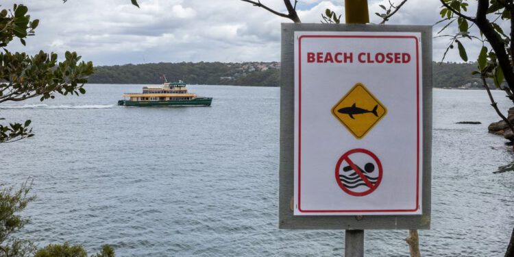 Sydney u šoku nakon tri napada morskog psa u nešto više od 24 sata