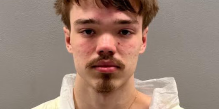 Tinejdžer optužen da je ubio trudnu ženu i zapalio njen dom nakon što ga je pokušala spriječiti da provali