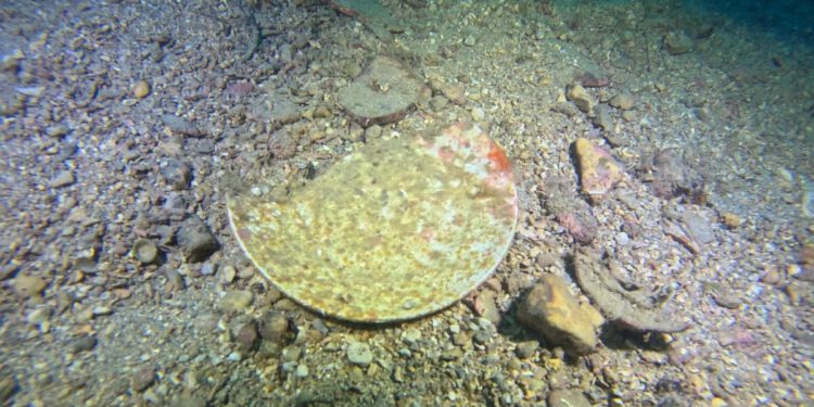 Tragovi antičkih i srednjovjekovnih gozbi u moru kod Makarske