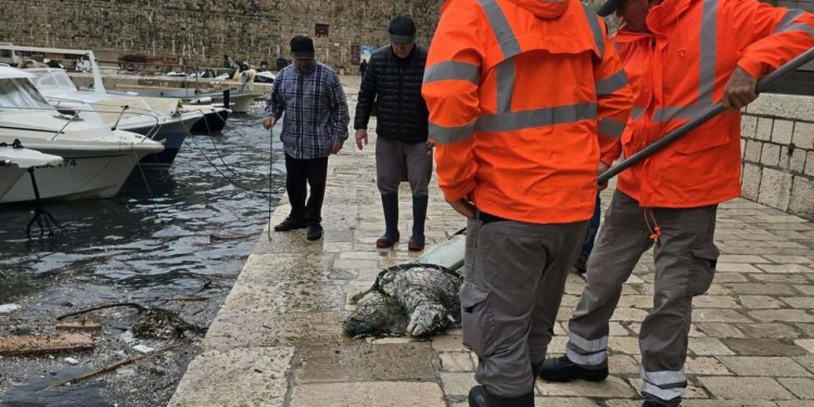 U Portu opet katastrofa od smeća, pogledajte što su sve osim plastike izvukli djelatnici Čistoće…