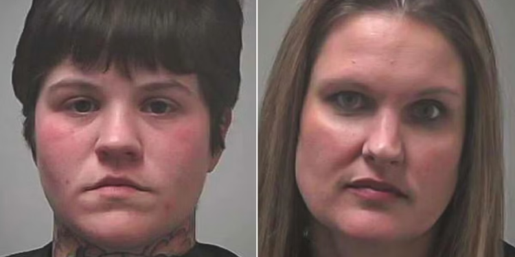 Uznemirujuće tvrdnje da su žene bez licence izvodile operacije mačaka u privatnoj kući