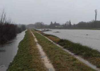 VIDEO Zbrajaju se štete na poljoprivrednim posjedima poslije poplava u Hercegovini