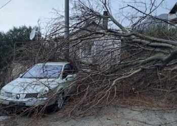 Vatrogasci u Ljubuškom i Grudama uklanjali oborena stabla nakon nevremena