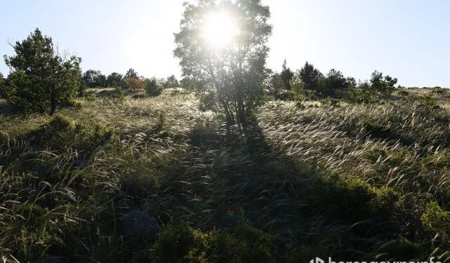 Vremenska prognoza za Mostar i Hercegovinu – 16.01.2026