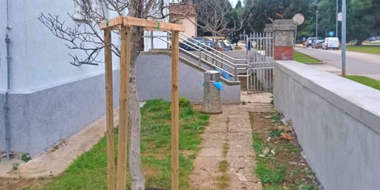 ZELENI POREČ Više od 800 novih sadnica stiže u grad!