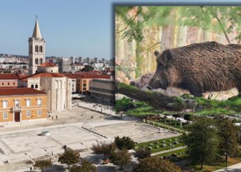 Zadarska županija i Grad Zadar kreću u borbu protiv najezde divljih svinja