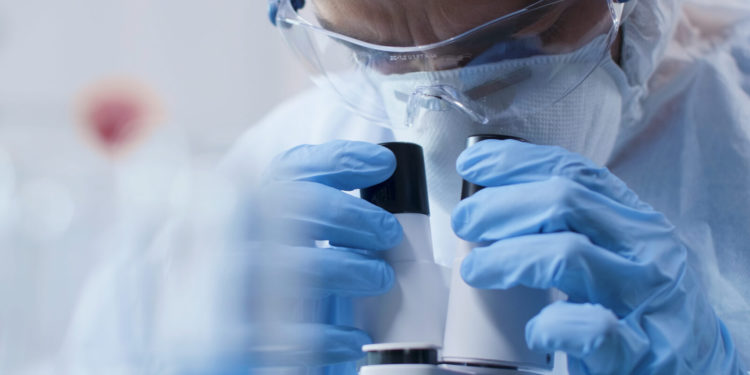 Znanstveni proboj: Nakon 50 godina uspješno sintetizirana rijetka molekula gljive s antikancerogenim svojstvima