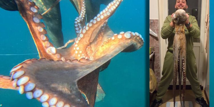 VIDEO Splićanin uhvatio krakena kod Hvara: "Borba je trajala 20 minuta, velika je gotovo kao i ja!"